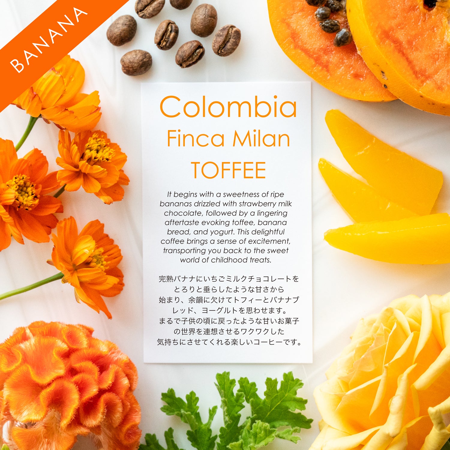 Finca Milan TOFFEE【バナナヨーグルト】数量限定