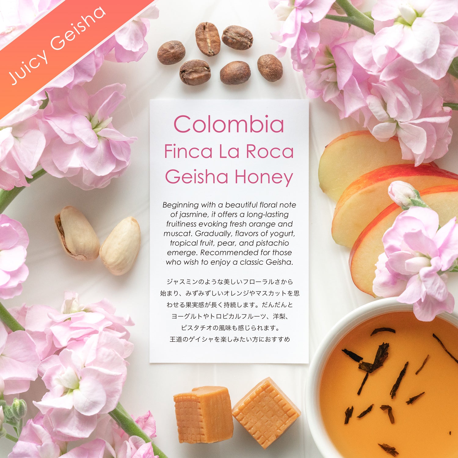 Finca La Roca Geisha Honey【ジューシーゲイシャ】