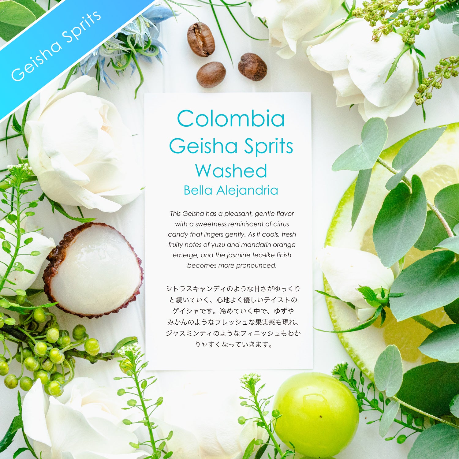 Geisha Sprits Washed 【ボタニカルゲイシャ】