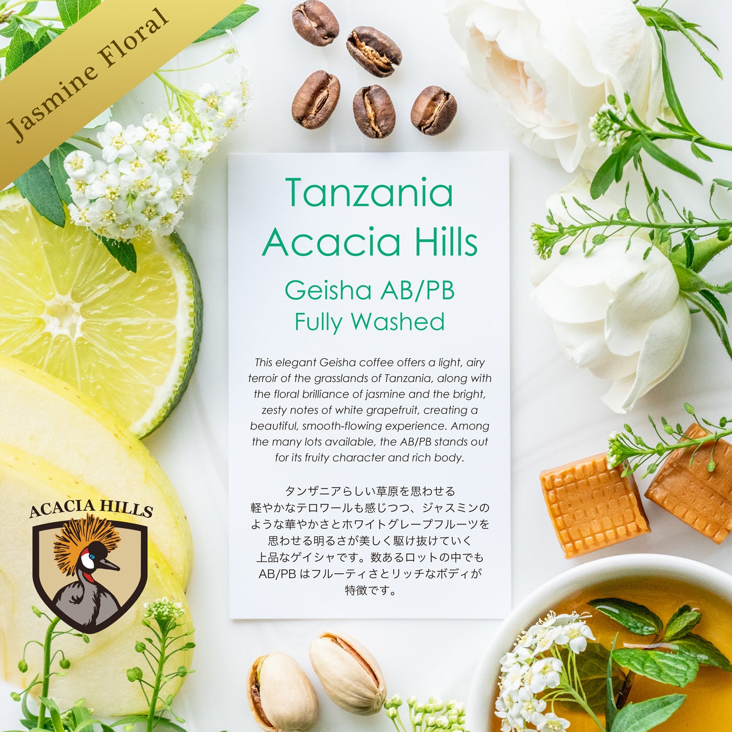 Acacia Hills Geisha AB/PB Fully Washed【ジャスミンフローラル】