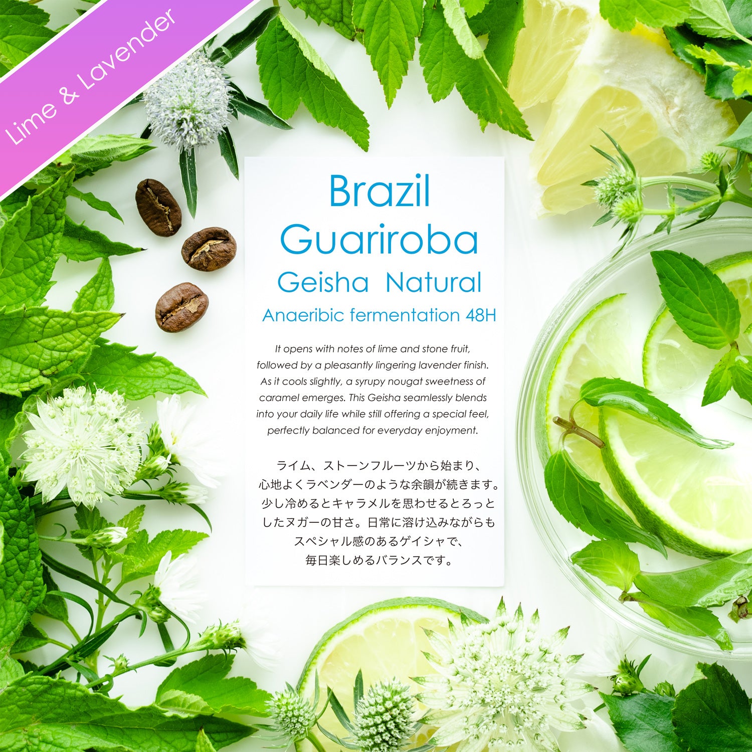 Guariroba Geisha Natural 【ライム&ラベンダー】