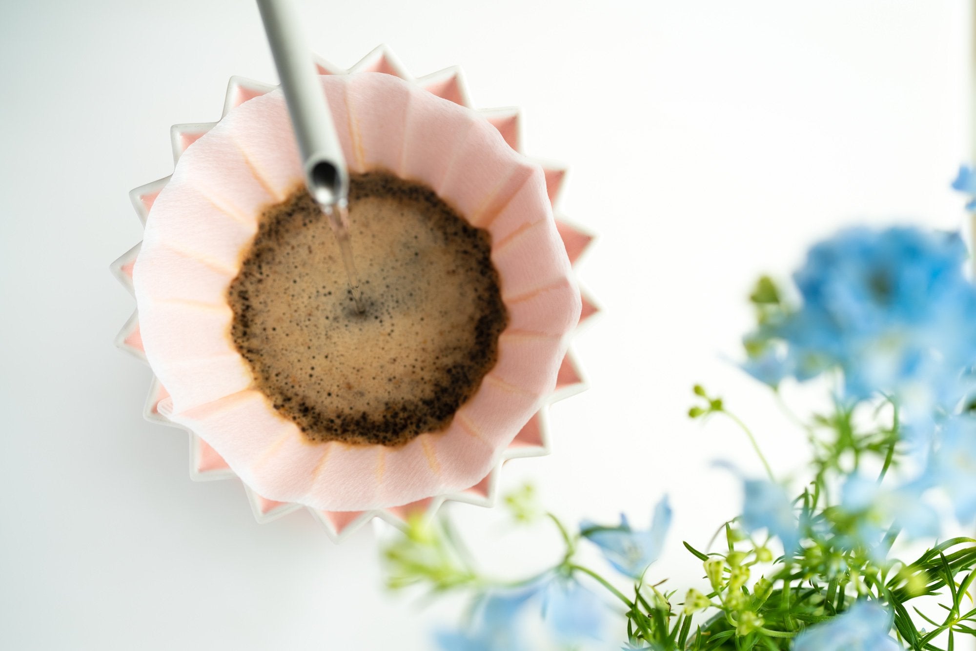 Coffee Seminar (90 minutes)