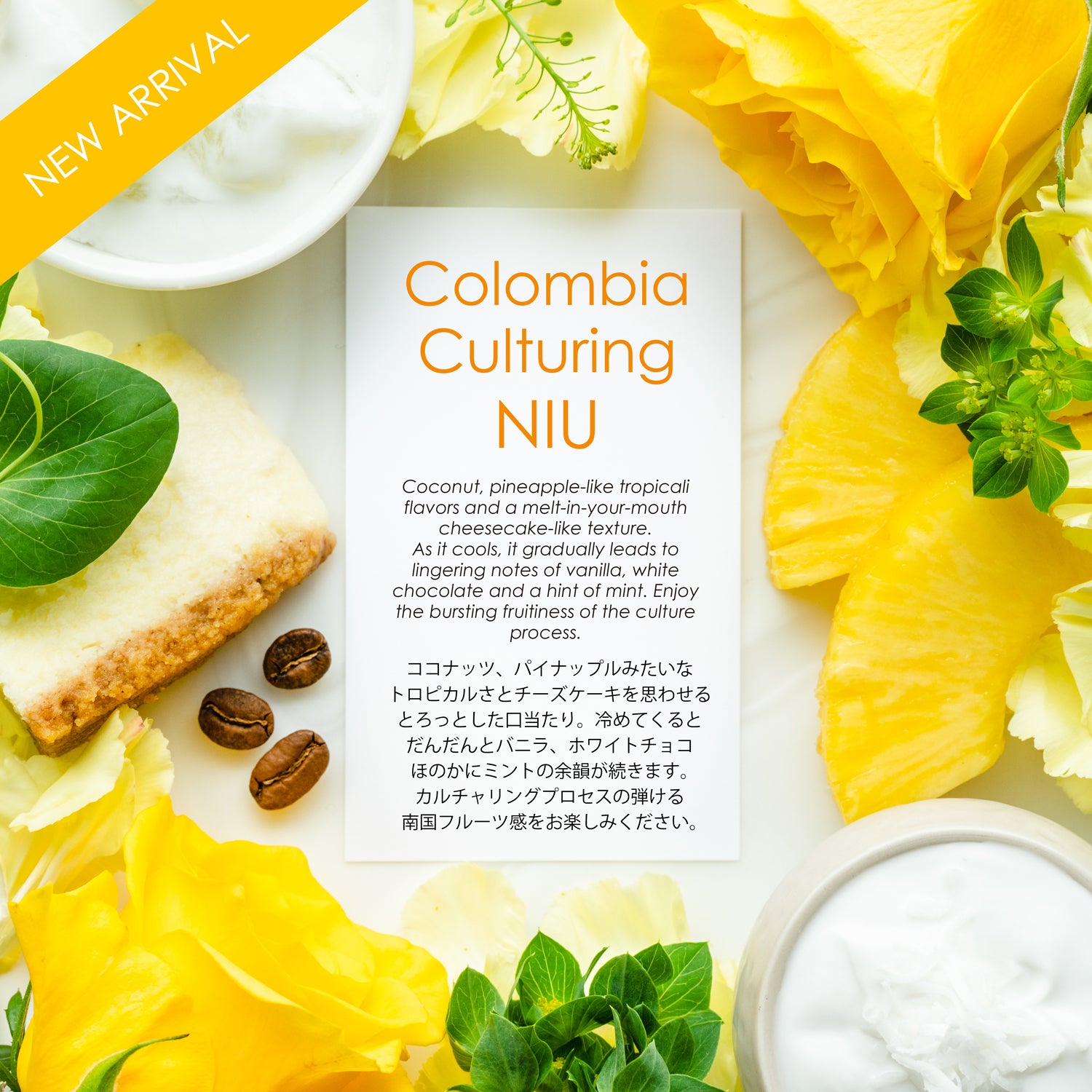Culturing NIU【ココナッツ＆チーズケーキ】