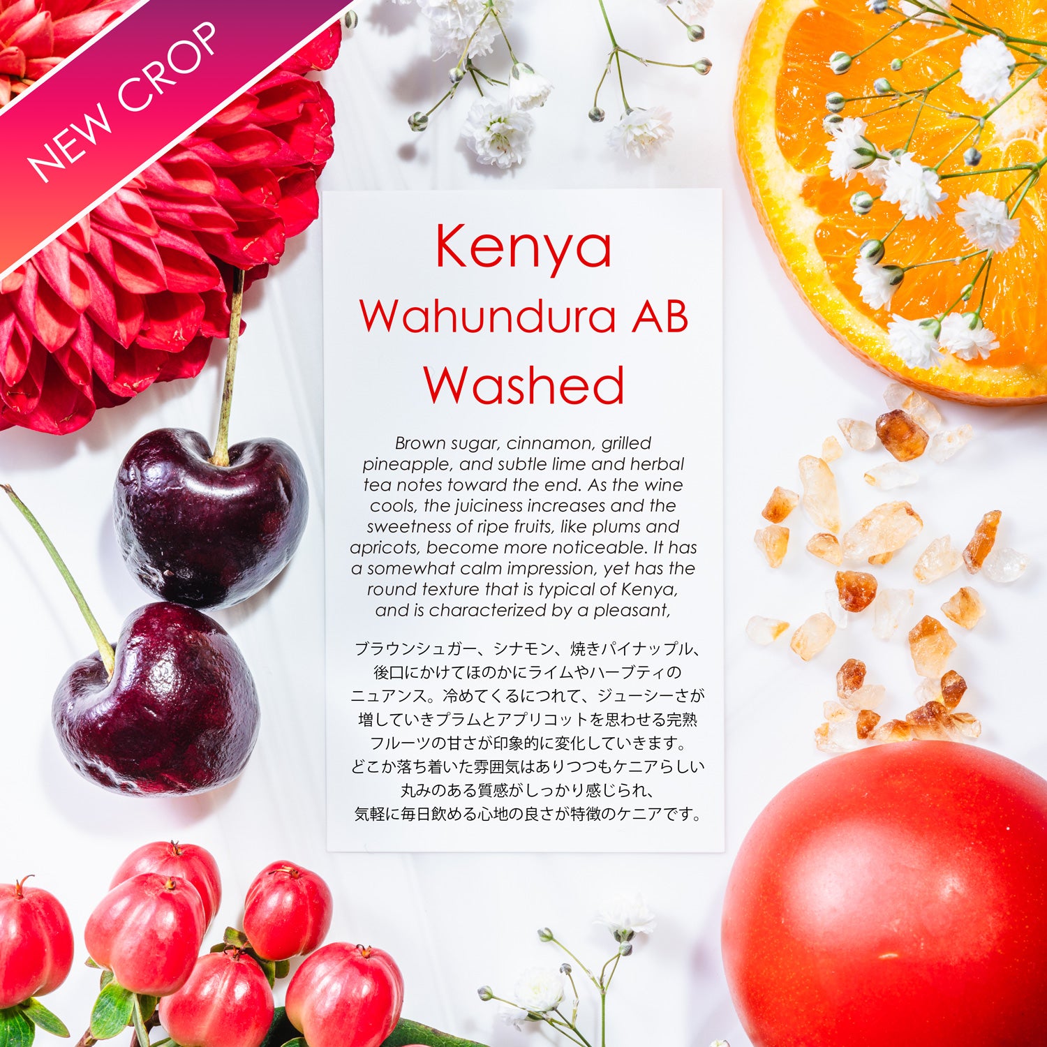 Kenya Wahundura AB Washed [Juicy plum & Brown Sugar]
