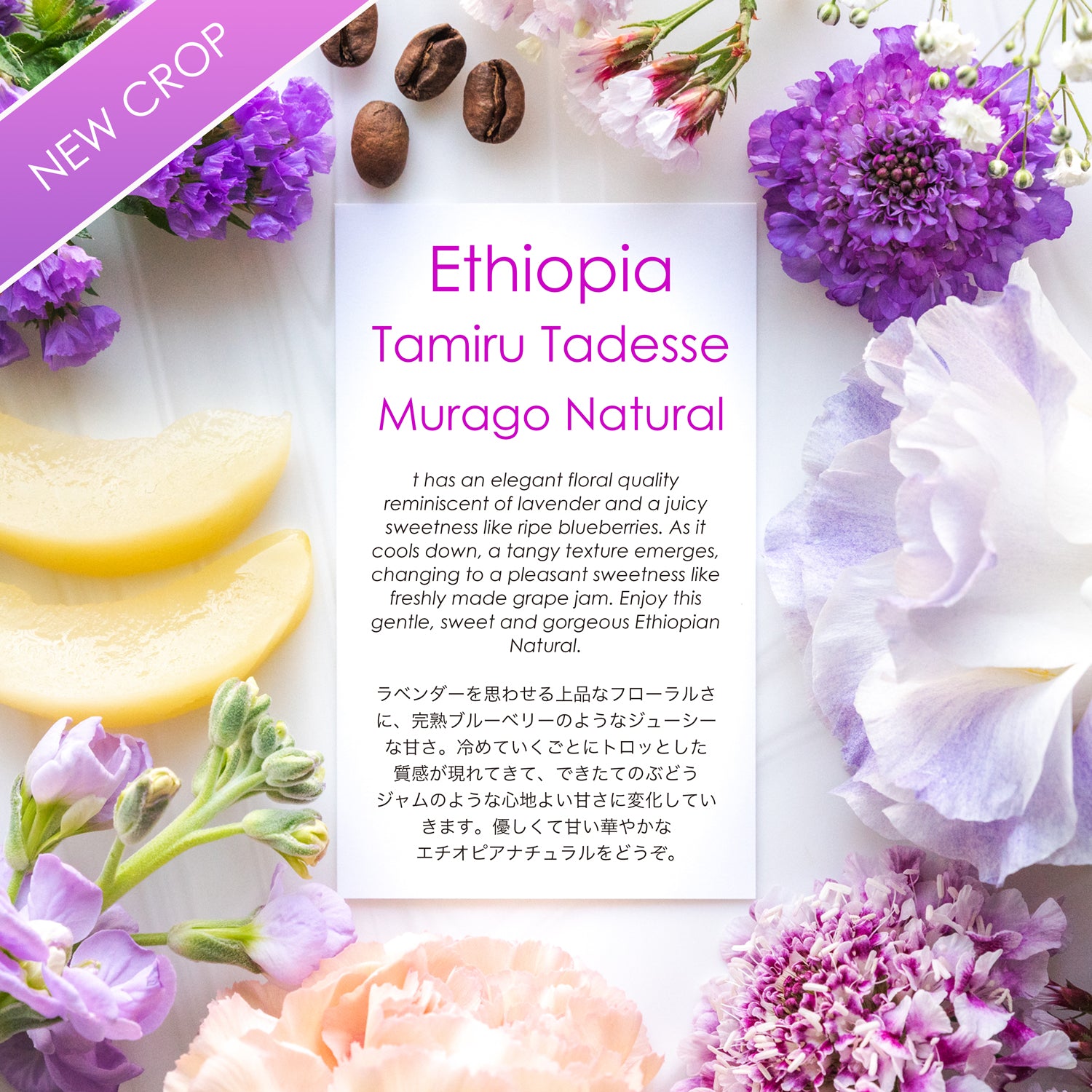 Ethiopia Tamiru Tadesse  Murago Natural [lavender & fresh blueberries]