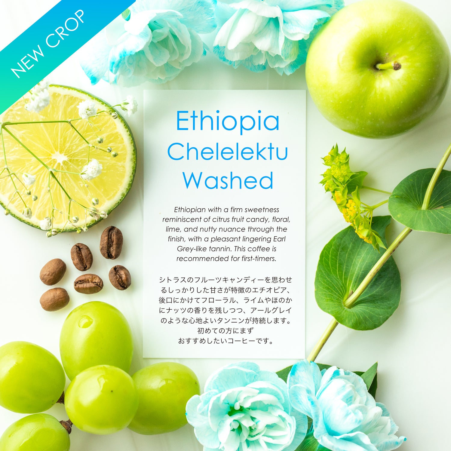 Chelelektu Washed  [citrus fruit candy & lime]