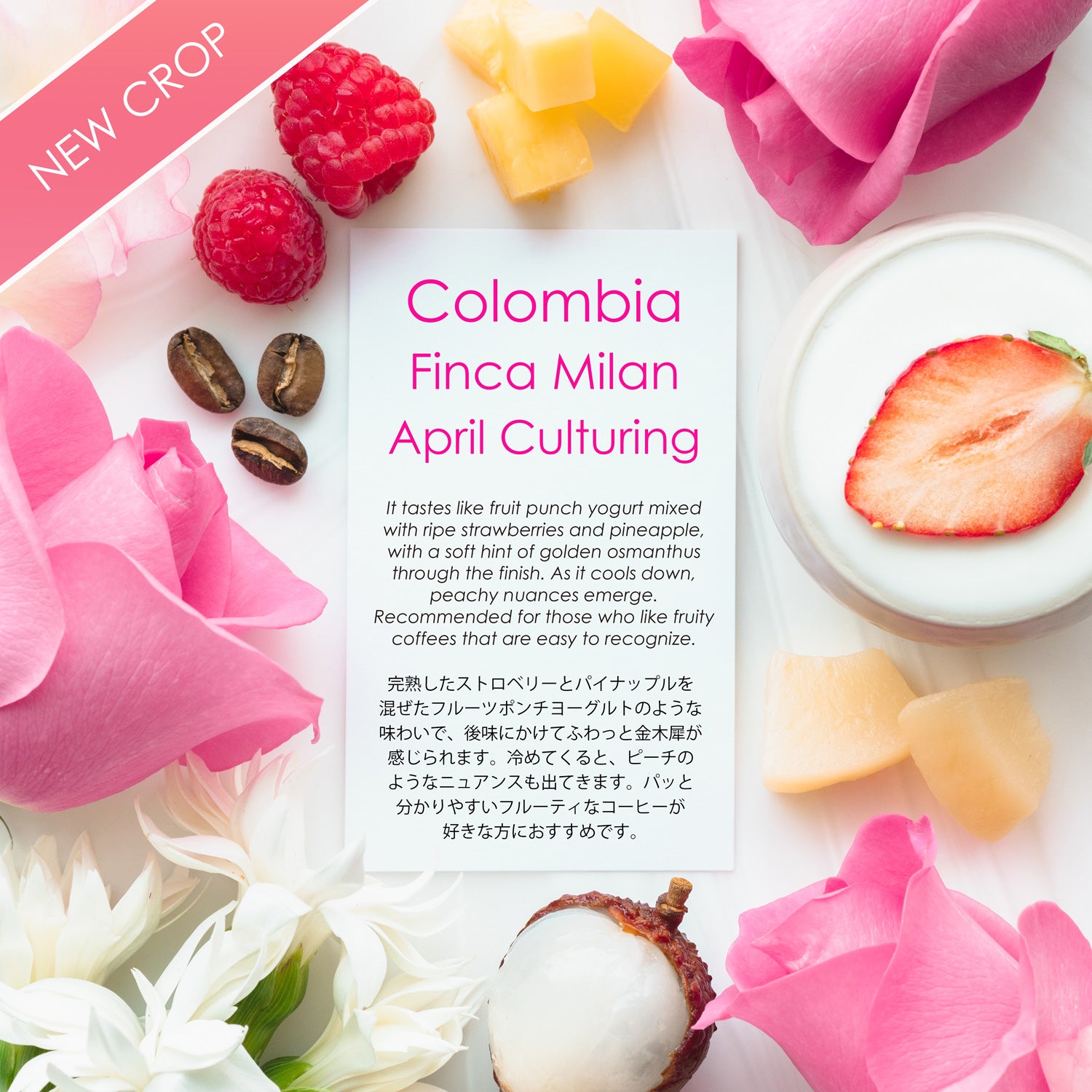 Finca Milan April Culturing [strawberries & pineapple]