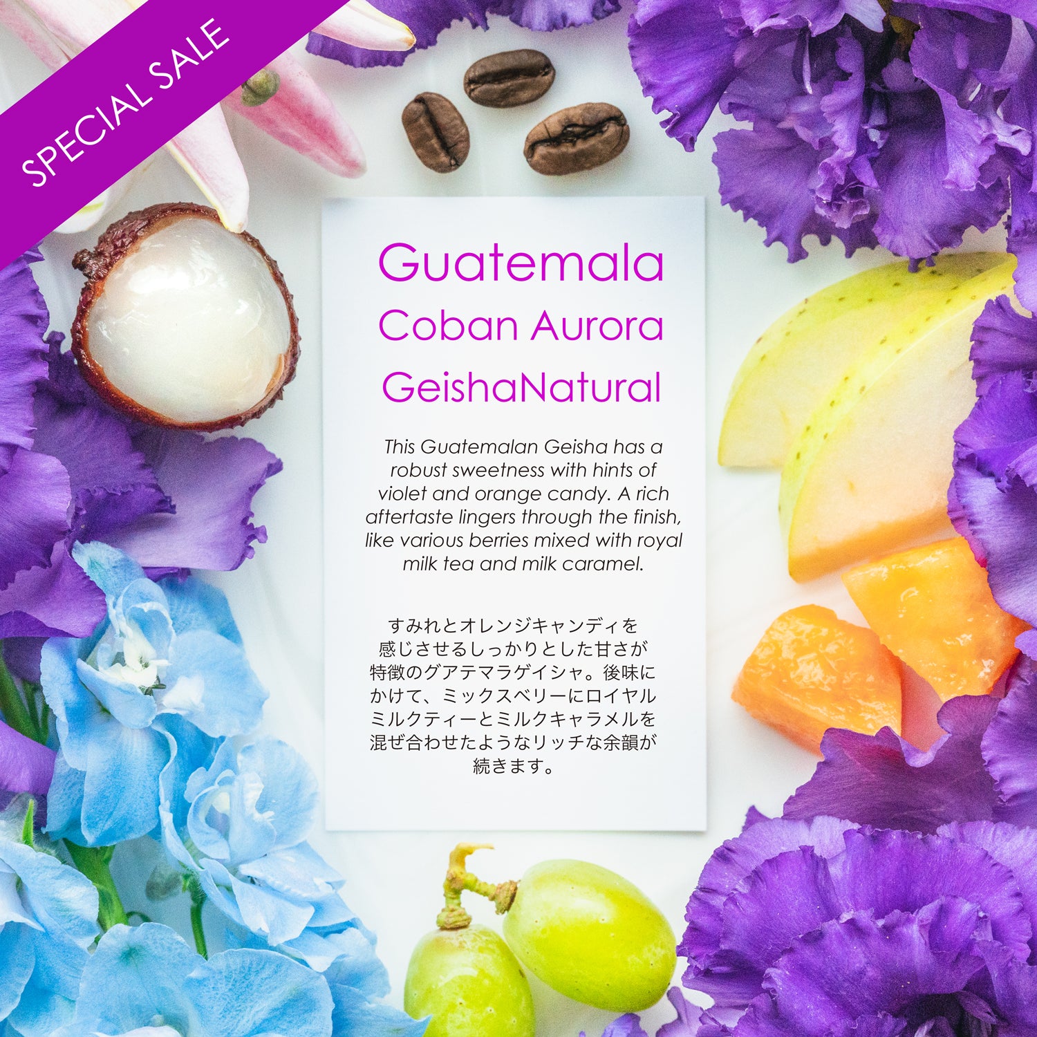 Coban Aurora Geisha Natural [ violet and orange candy]