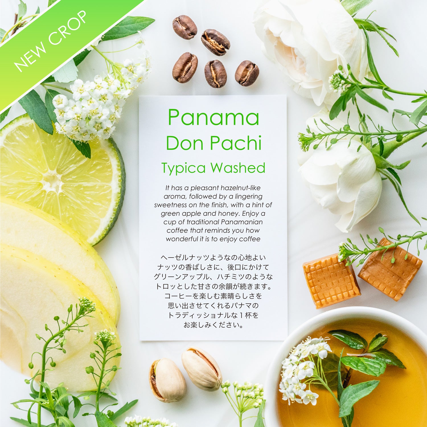 Don Pachi Typica Washed [Green apple & Honey]