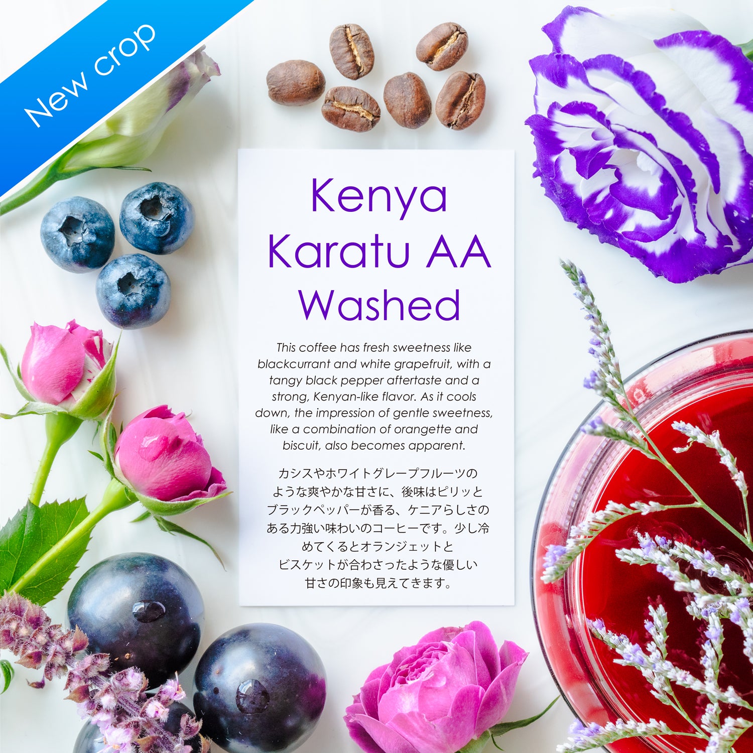 Karatu AA Washed [blackcurrant & white grapefruit]