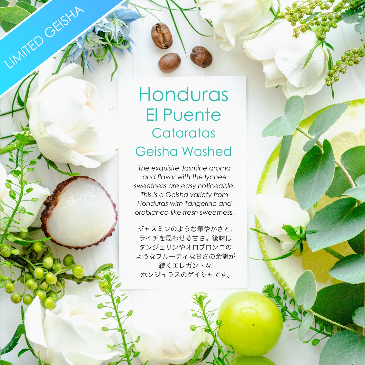 Honduras El Puente/Cataratas Geisha Washed [Citrus & Jasmine]