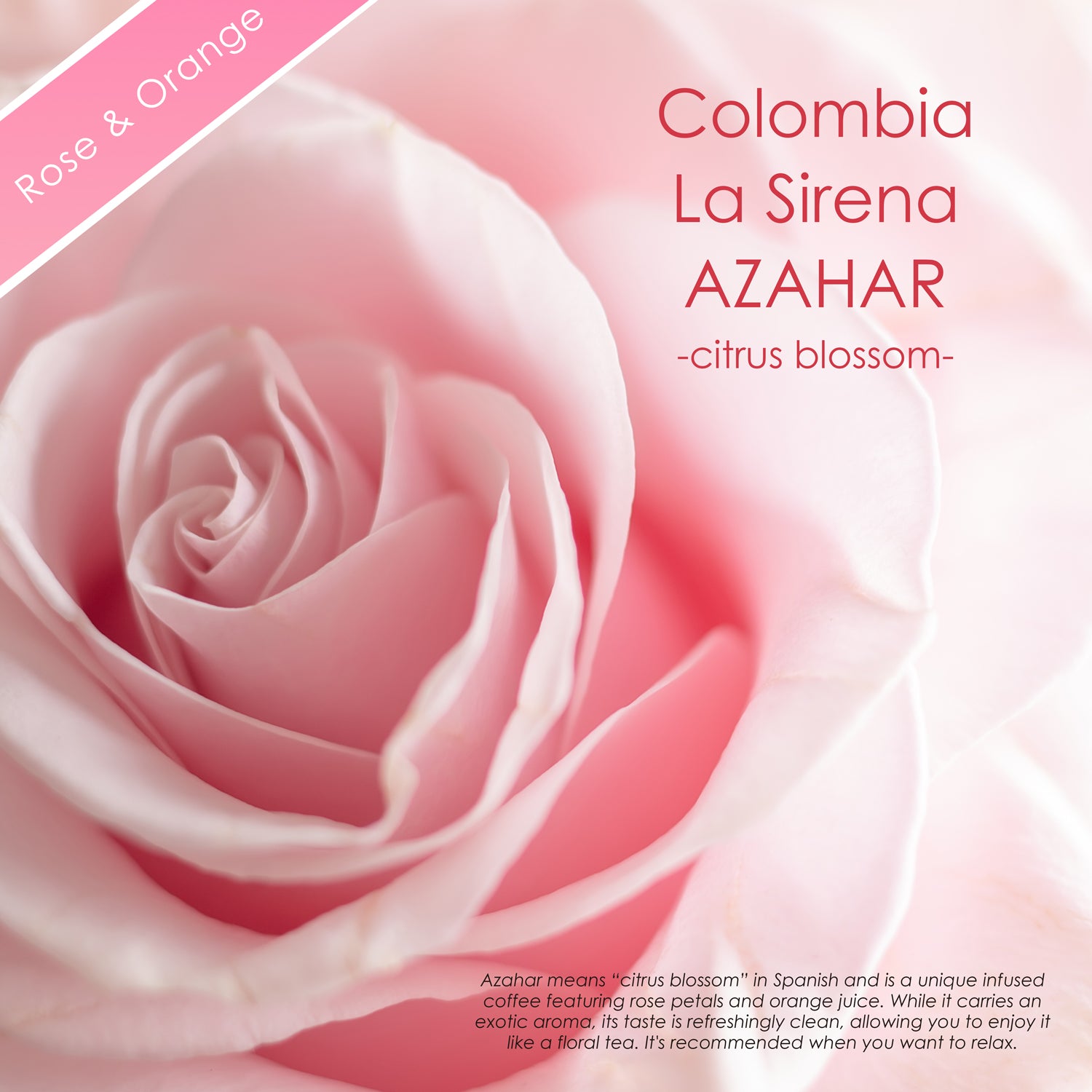 La Sirena AZAHAR -cisrus blossom-【ローズ＆シトラス】