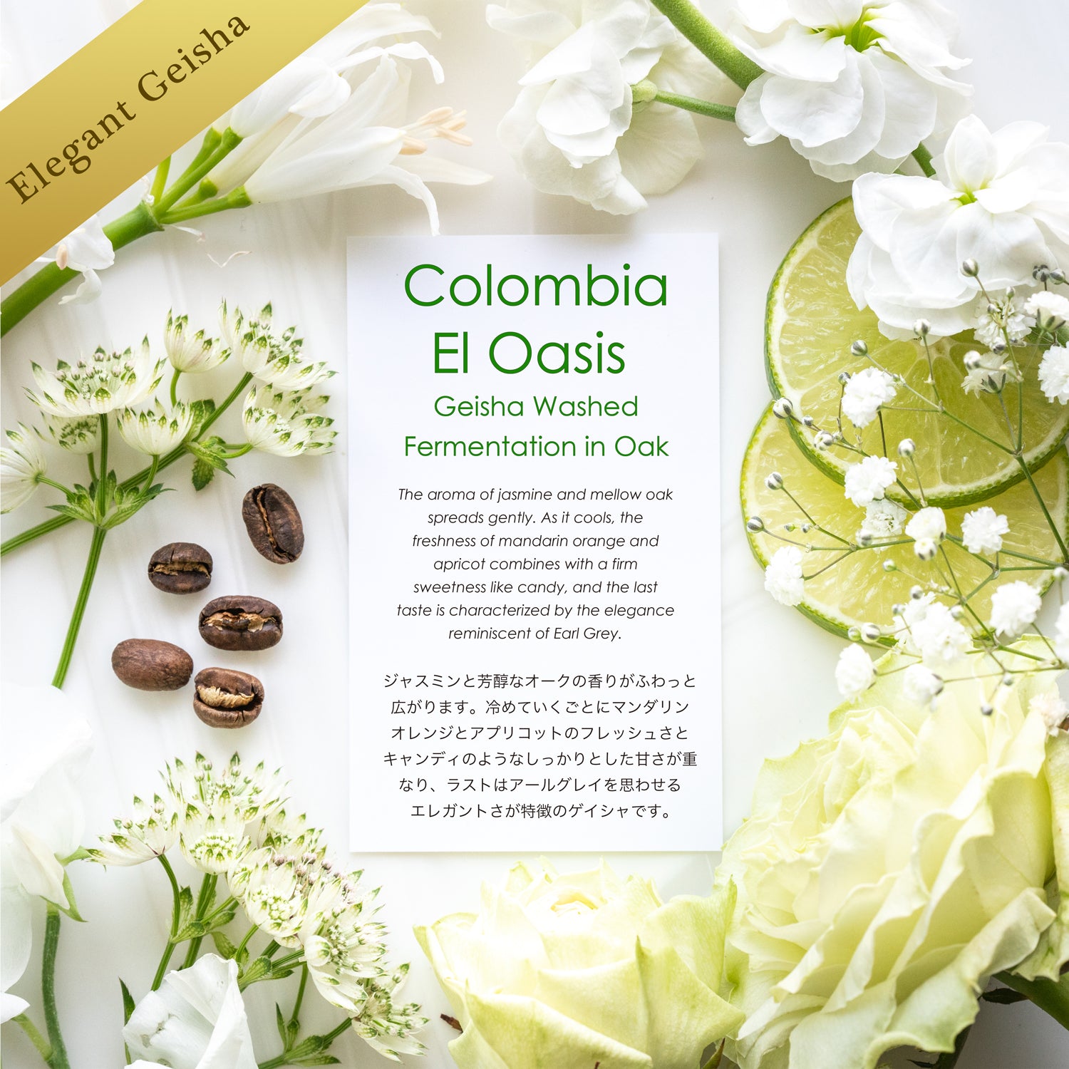 El Oasis Geisha Washed Fermentation in Oak【エレガントゲイシャ】
