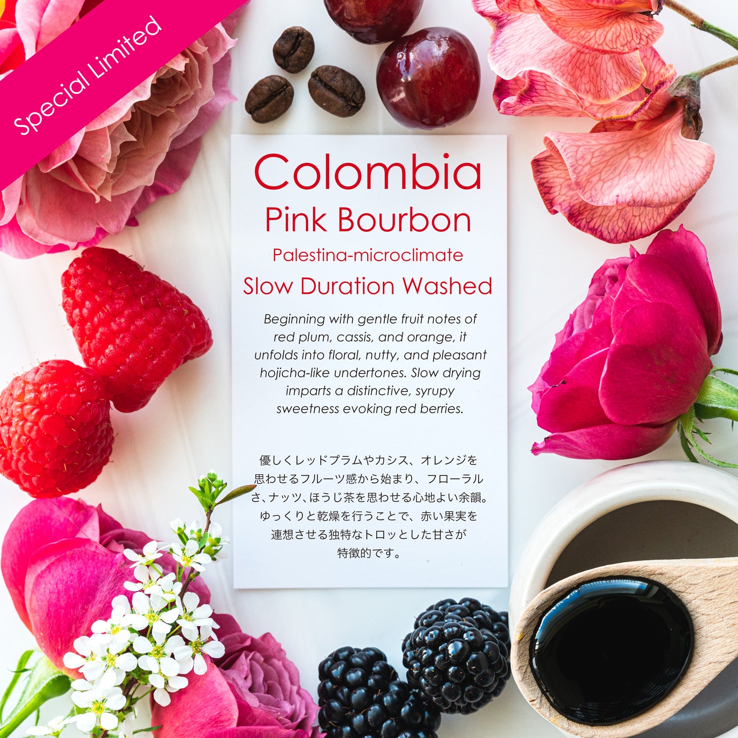 Pink Bourbon Palestina-microclimate Slow Duration Washed【LIMITED】