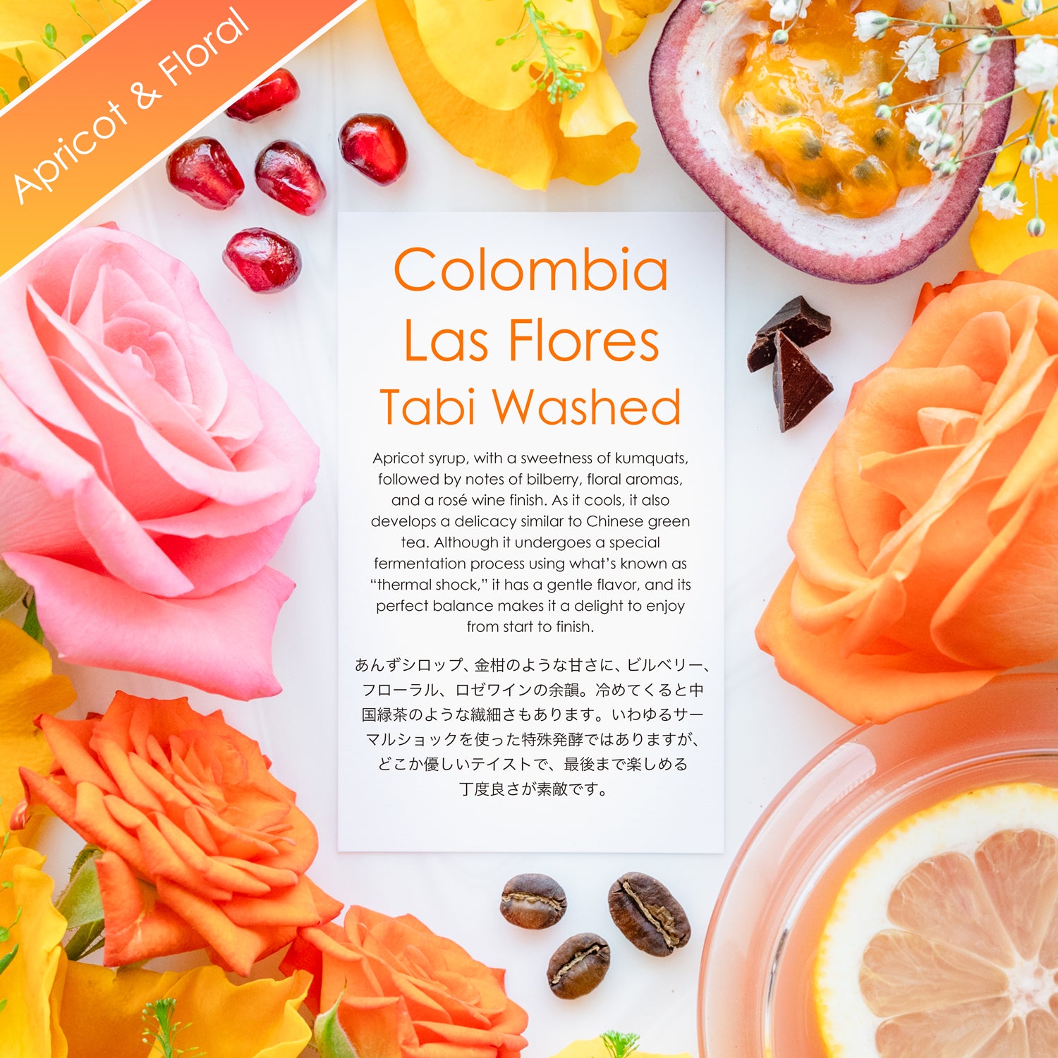 Las Flores Tabi Washed [Apricot syrup & Floral]