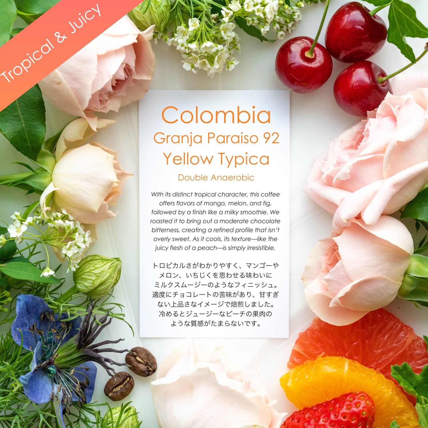 Granja Paraiso 92 Yellow Typica【トロピカル＆ジューシー】