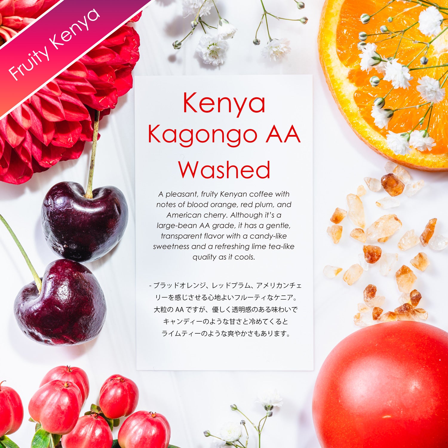 Kagongo AA Washed [Fruity Kenya]